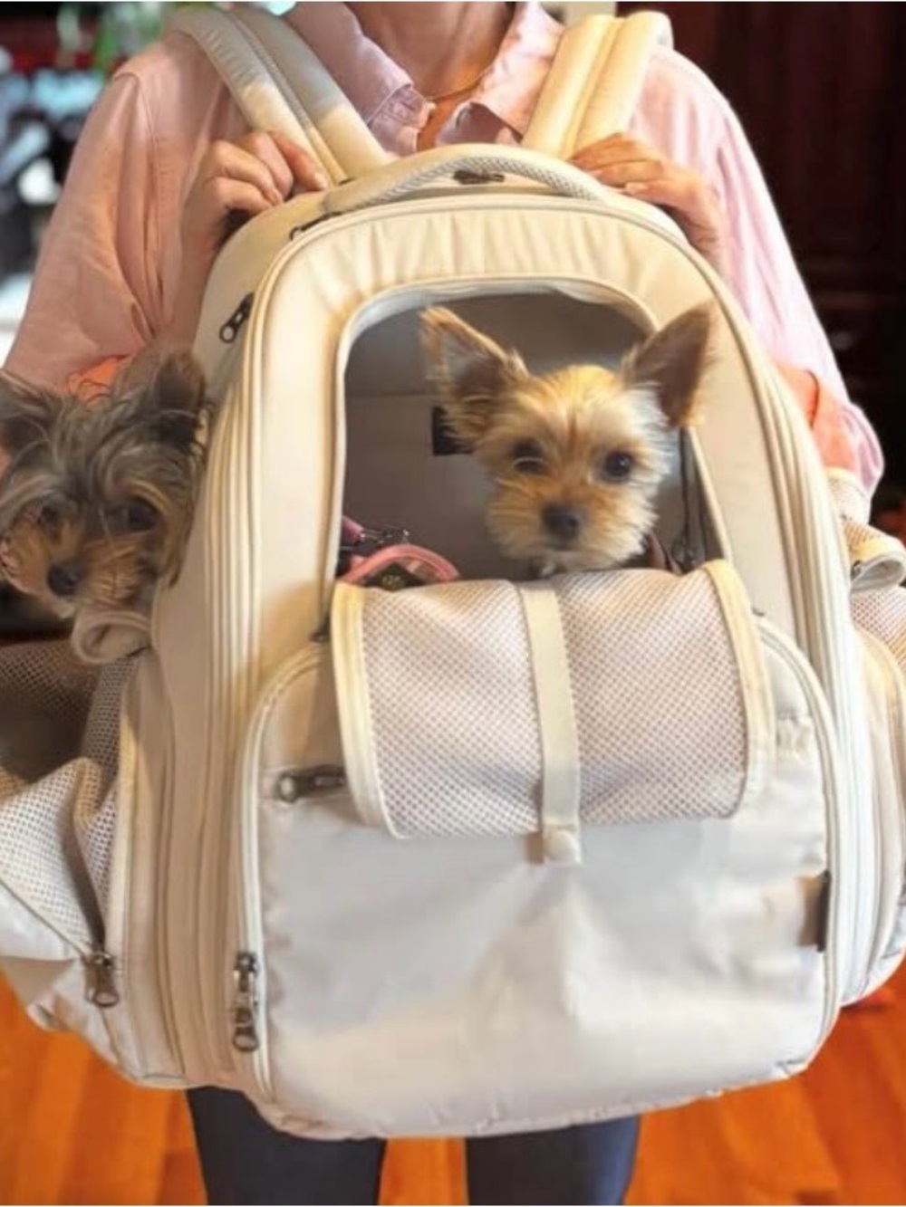 SSOOOK.com Cream Pet Carrier Backpack space for laptops too